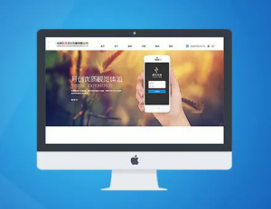 定制網(wǎng)站需要做哪些準(zhǔn)備工作？定制網(wǎng)站的好處有哪些？
