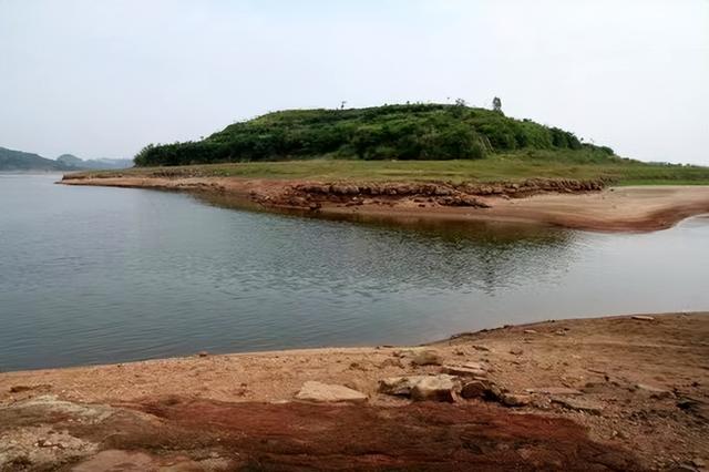 養(yǎng)植什么動物最賺錢，最有利可圖的動物養(yǎng)殖？
