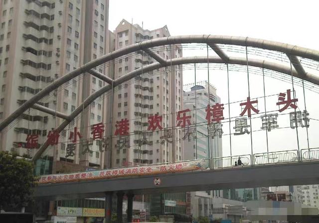 養(yǎng)植什么動物最賺錢，最有利可圖的動物養(yǎng)殖？