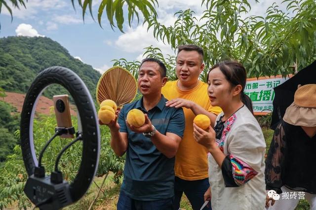 掙錢兼職，賺錢副業(yè)？
