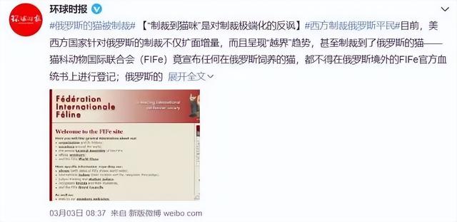 海外短視頻平臺(tái)網(wǎng)站，海外視頻網(wǎng)站？