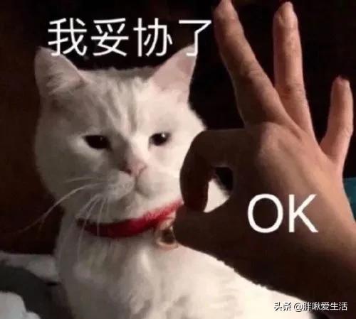 拼多多賬號怎么注銷掉，注銷拼多多賬號方法？