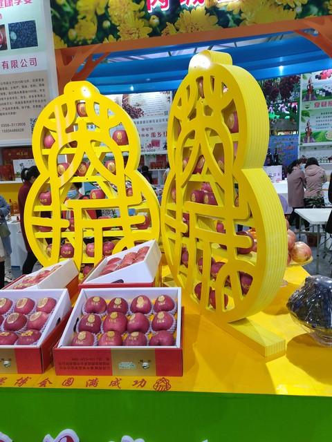 攝影怎么能賺錢，攝影怎么能賺錢呢？