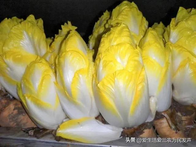 找個(gè)賺錢的項(xiàng)目，找個(gè)賺錢的項(xiàng)目叫什么？
