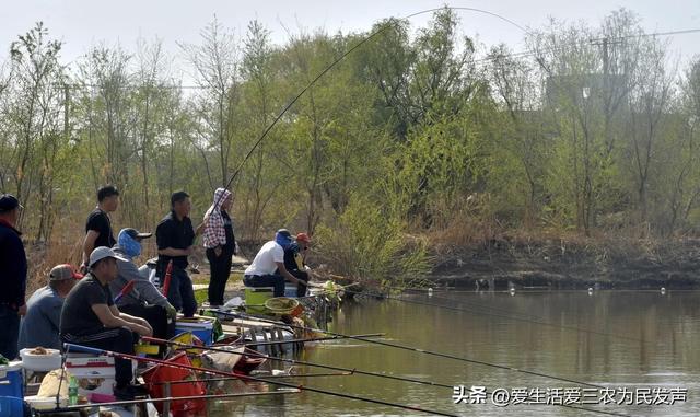 找個(gè)賺錢的項(xiàng)目，找個(gè)賺錢的項(xiàng)目叫什么？