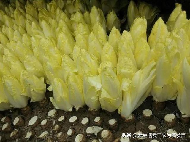 找個(gè)賺錢的項(xiàng)目，找個(gè)賺錢的項(xiàng)目叫什么？