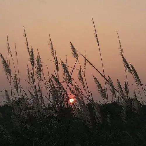 創(chuàng)業(yè)路上必聽的10首歌，創(chuàng)業(yè)路上必聽的10首歌曲？